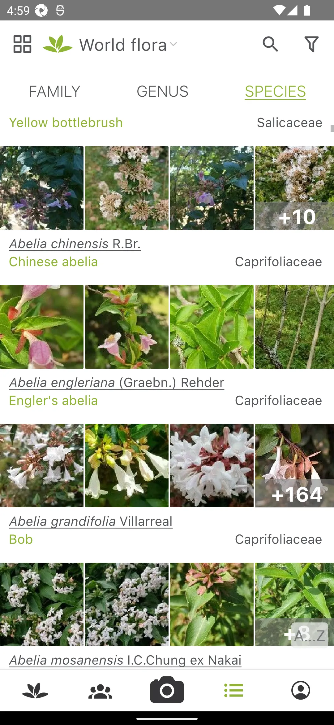 PlantNet Plant Identification | Indus Appstore | Screenshot