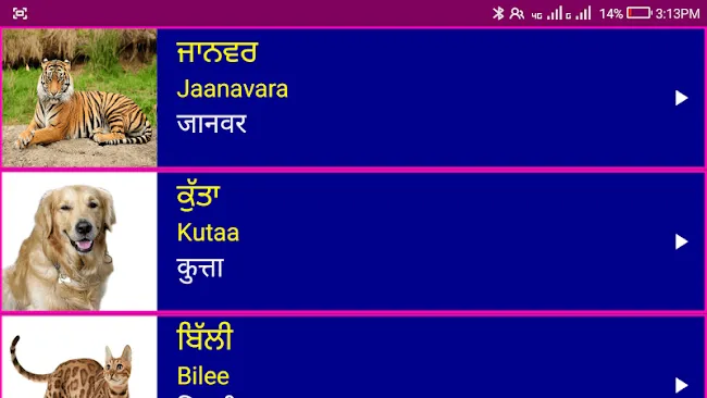 Learn Punjabi From Hindi | Indus Appstore | Screenshot