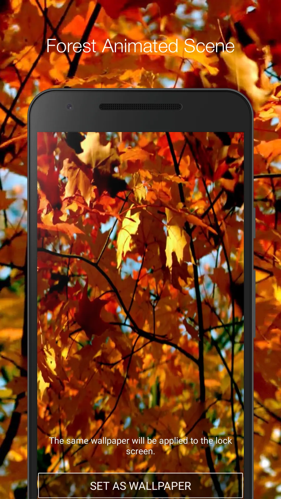 Autumn Forest Live Wallpaper | Indus Appstore | Screenshot