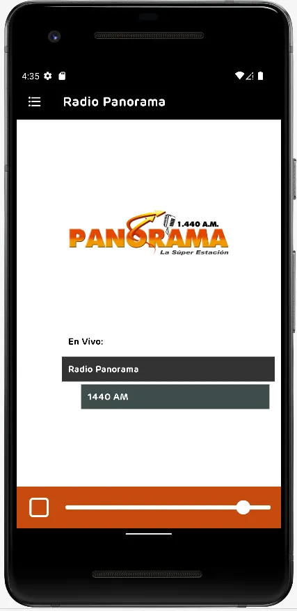 Radio Panorama | Indus Appstore | Screenshot