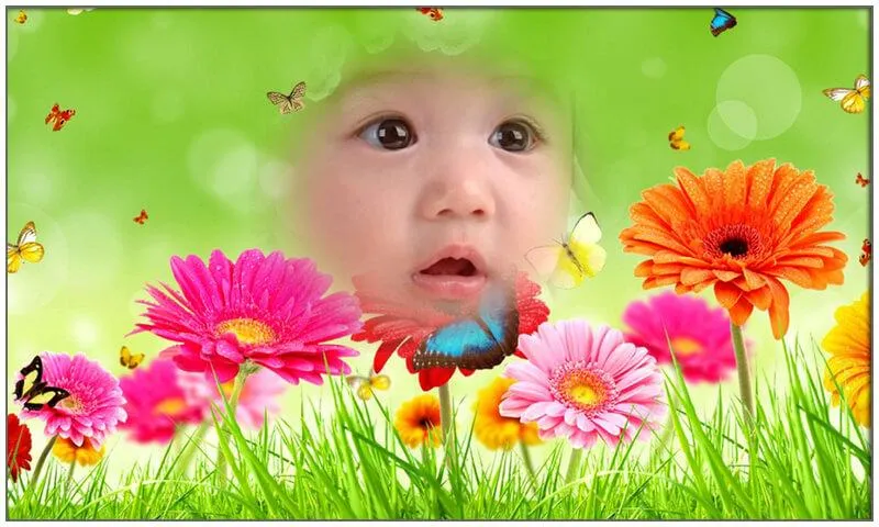 Flowers Photo Frames | Indus Appstore | Screenshot