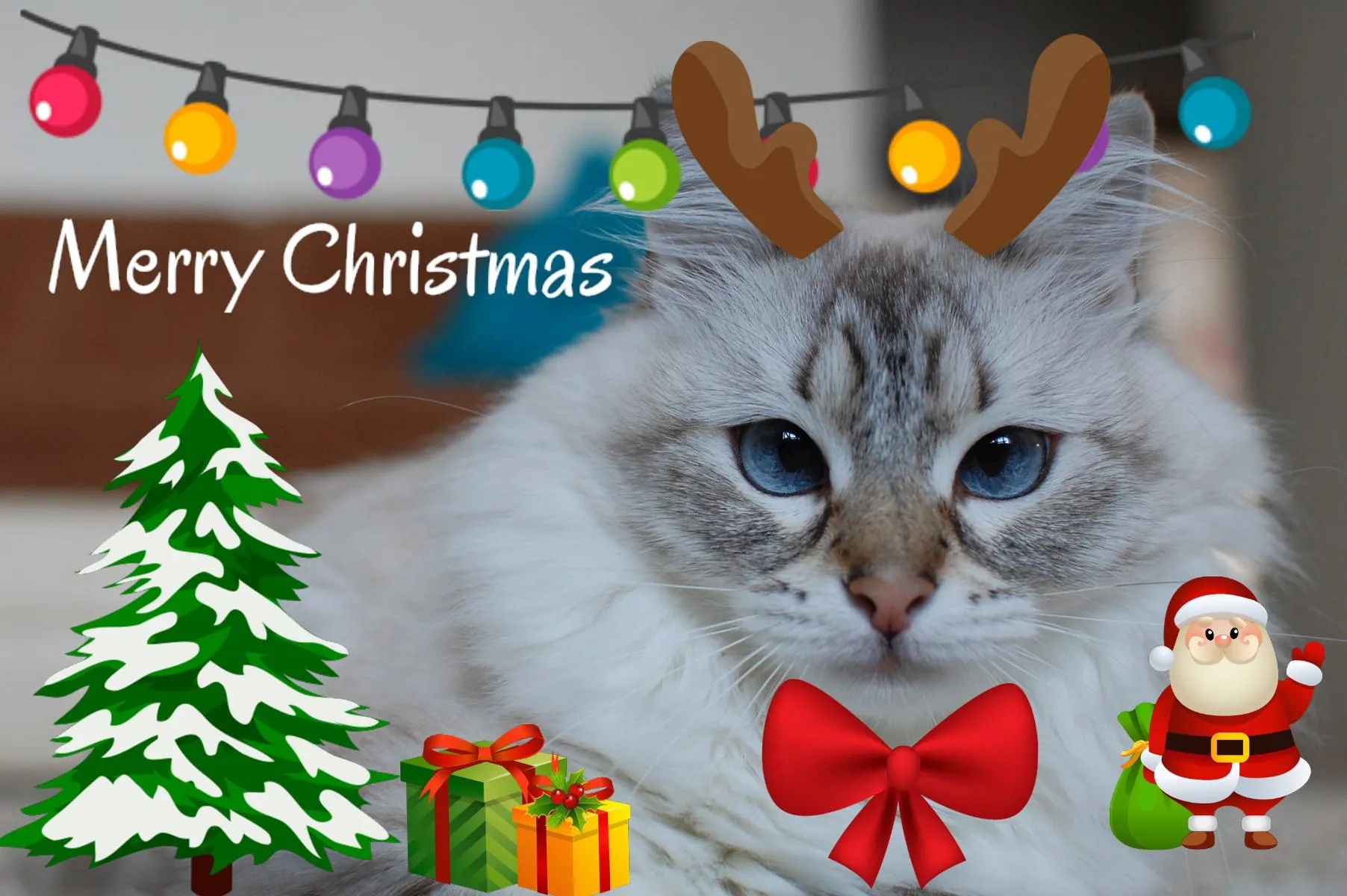 Christmas Photo Stickers | Indus Appstore | Screenshot