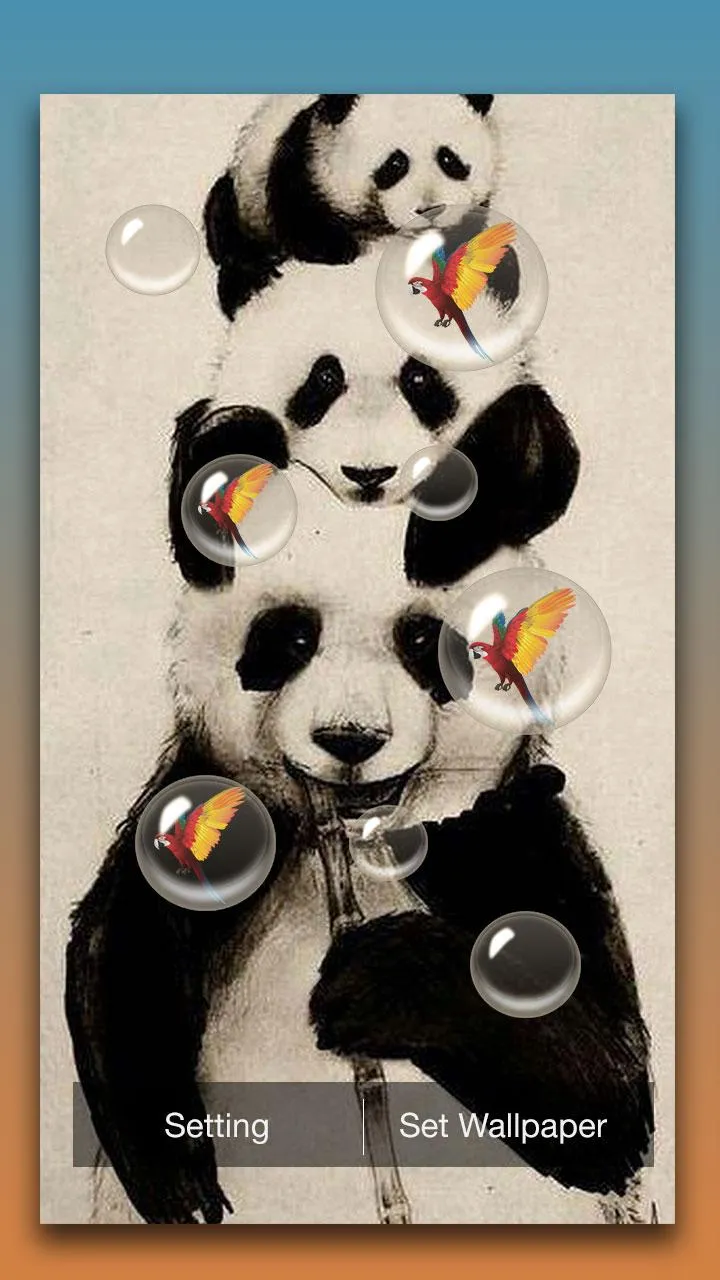 Panda Live Wallpaper | Indus Appstore | Screenshot