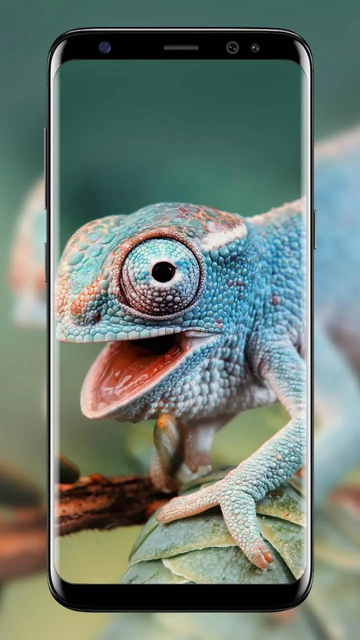 Chameleon wallpapers | Indus Appstore | Screenshot