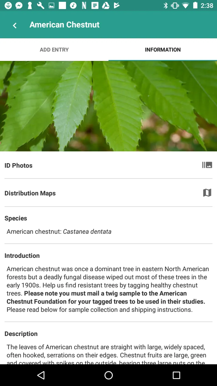 TreeSnap | Indus Appstore | Screenshot