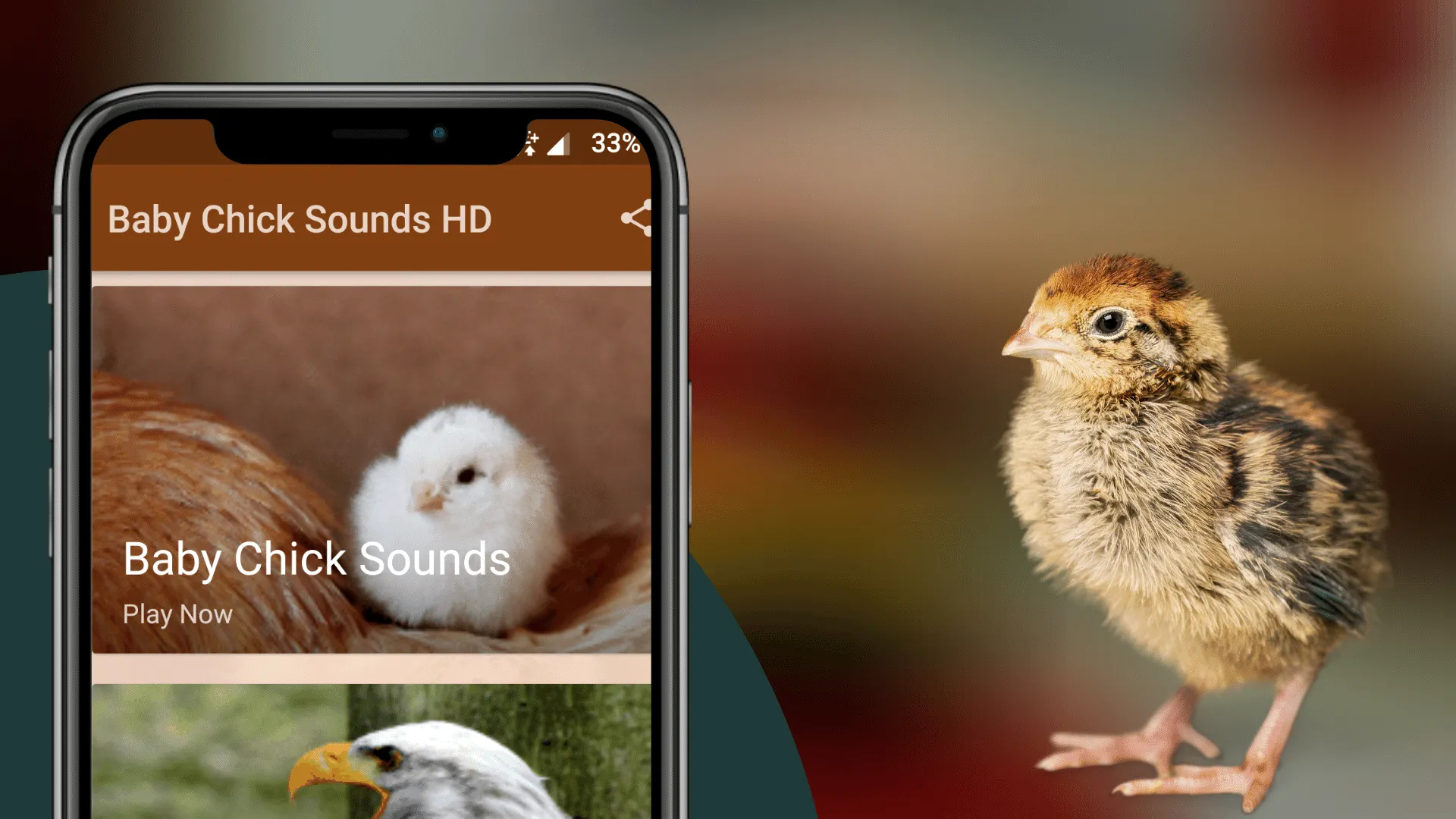 Chicks Sounds - Chirping Noise | Indus Appstore | Screenshot