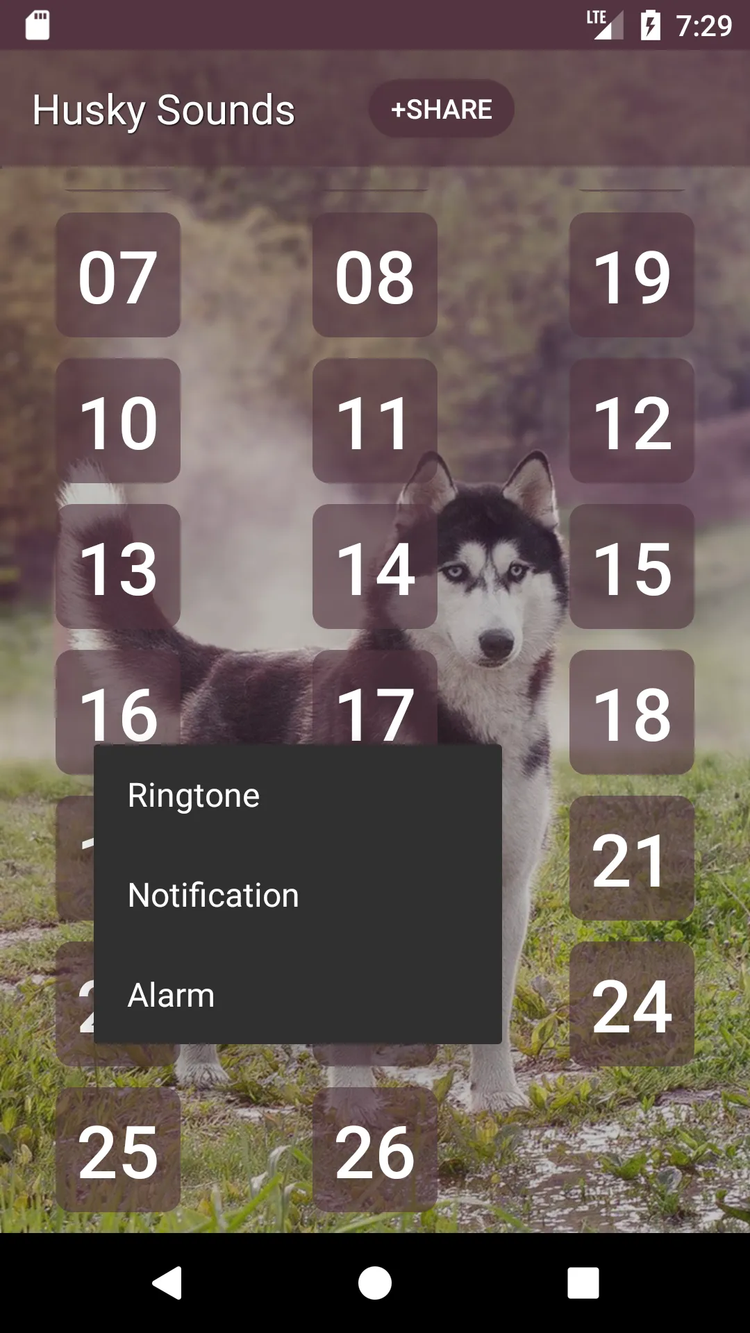 Siberian Husky Dog Sounds | Indus Appstore | Screenshot