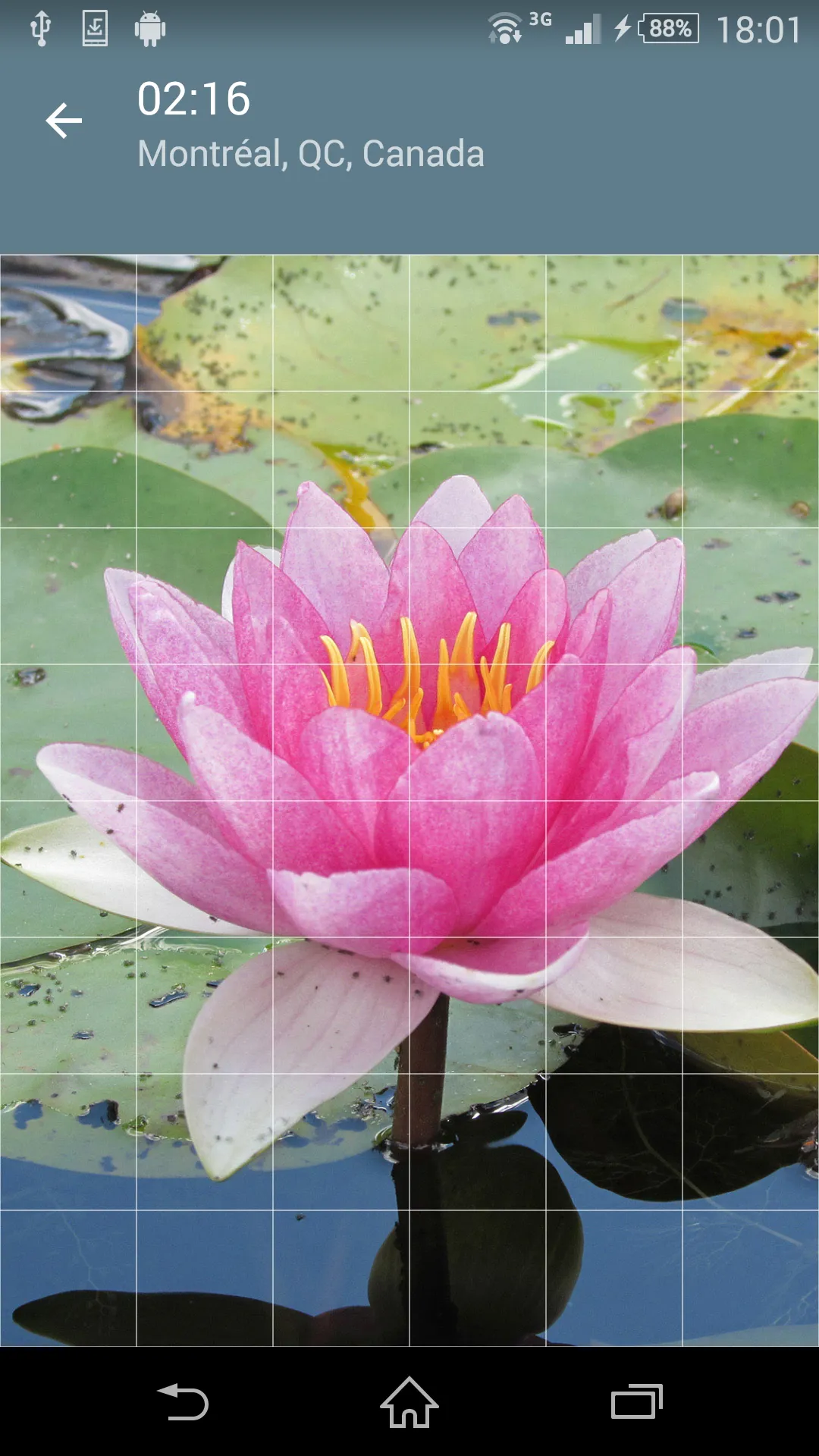 Jigsaw Puzzle: Flowers | Indus Appstore | Screenshot