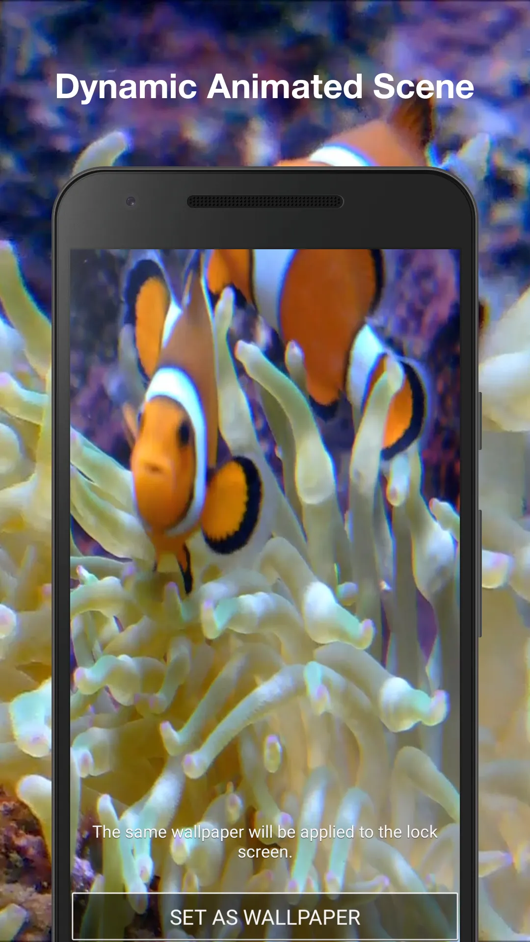 Real Fish Live Wallpaper | Indus Appstore | Screenshot