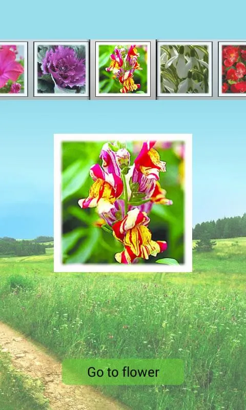 Gardening - flowering plants | Indus Appstore | Screenshot