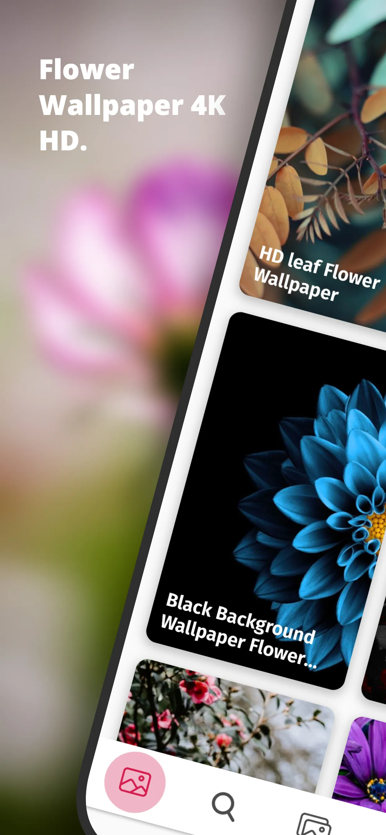 Cool Flower Wallpapers 4K | HD | Indus Appstore | Screenshot