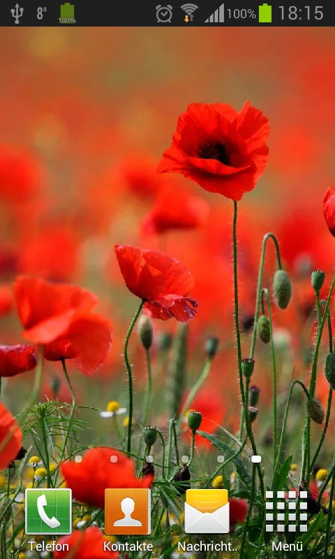 Poppies live wallpaper | Indus Appstore | Screenshot