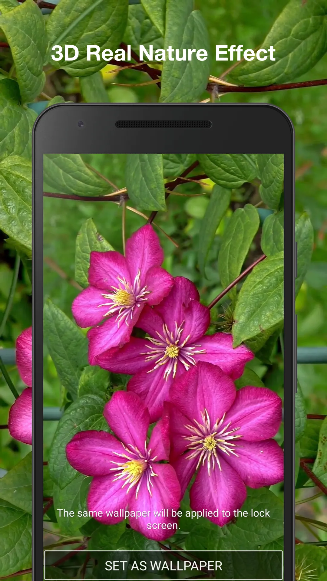 Flowers Live Wallpaper | Indus Appstore | Screenshot