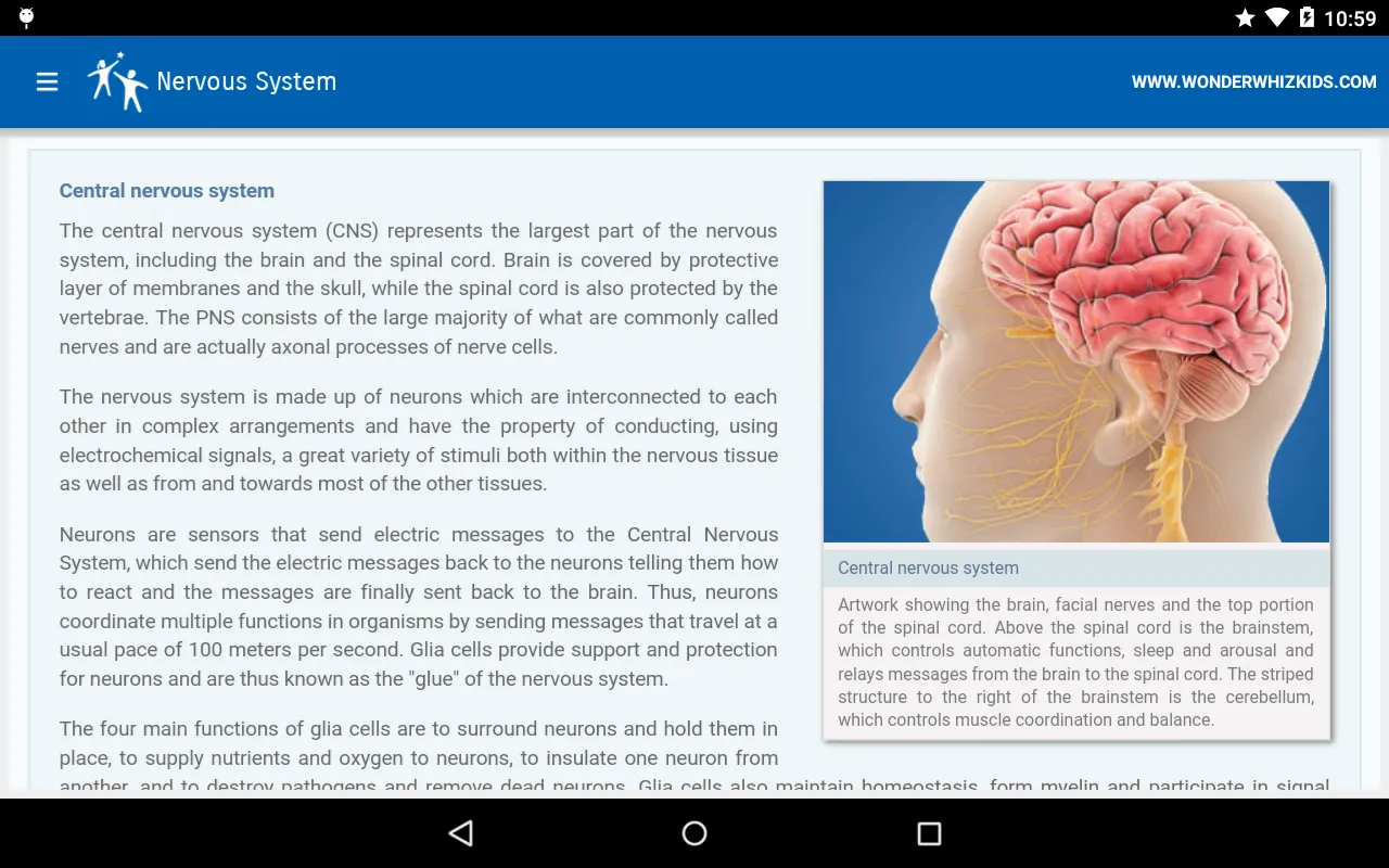 Nervous System | Indus Appstore | Screenshot