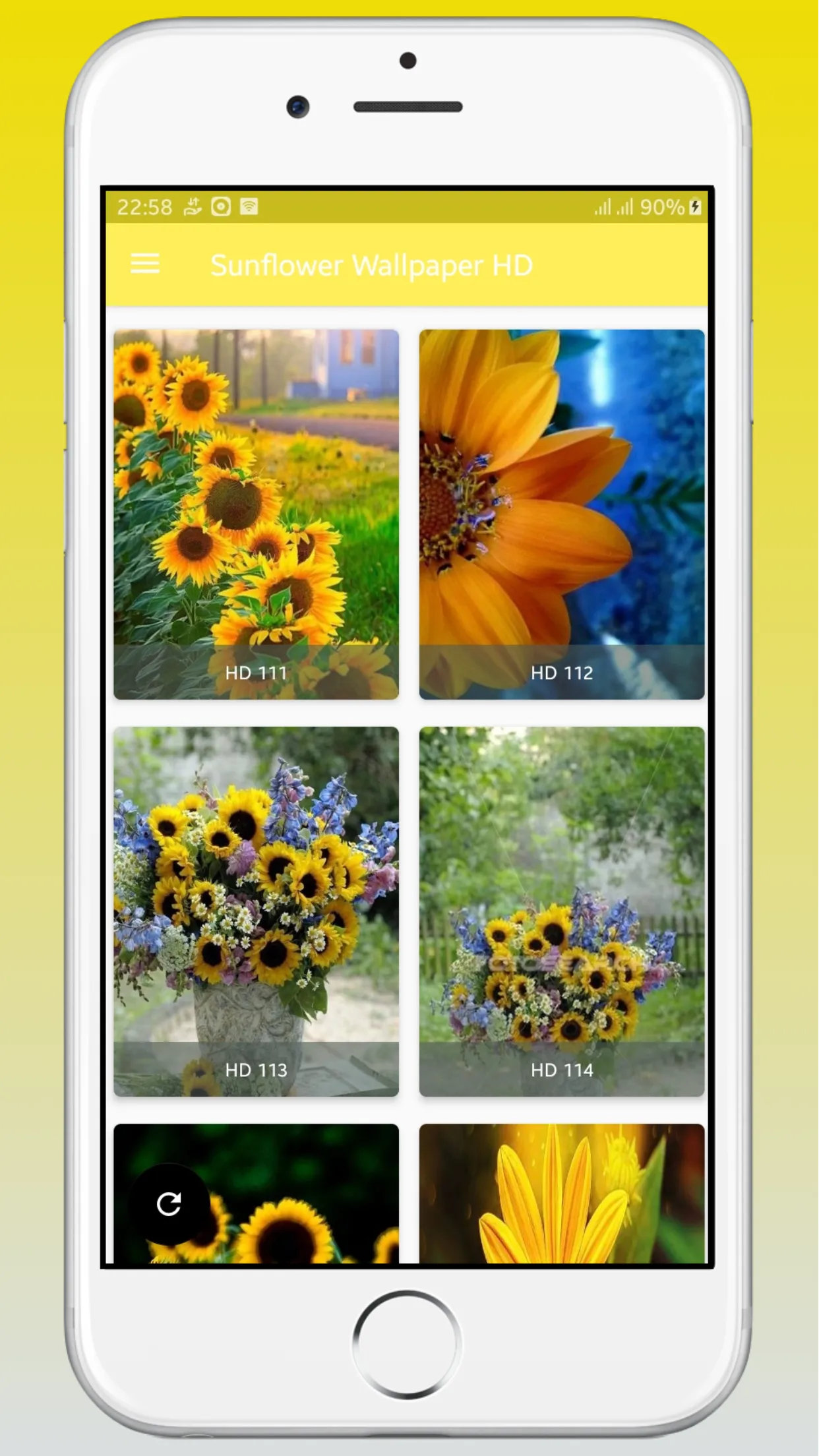 Sunflower Wallpaper HD | Indus Appstore | Screenshot