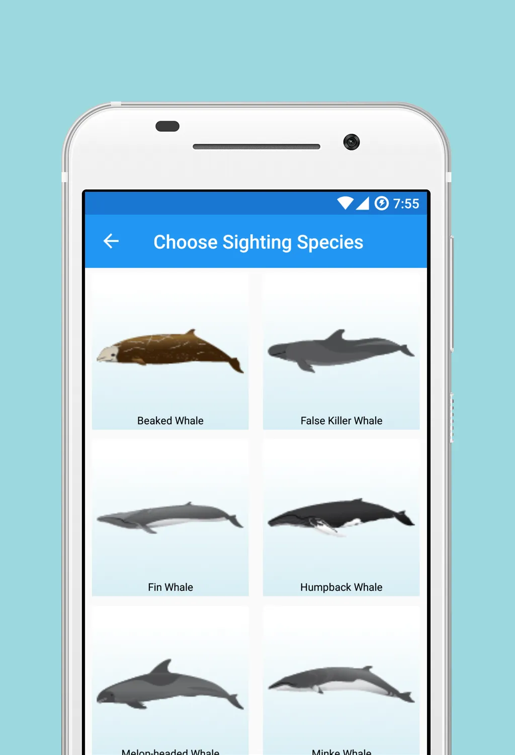 Whale and Dolphin Tracker | Indus Appstore | Screenshot