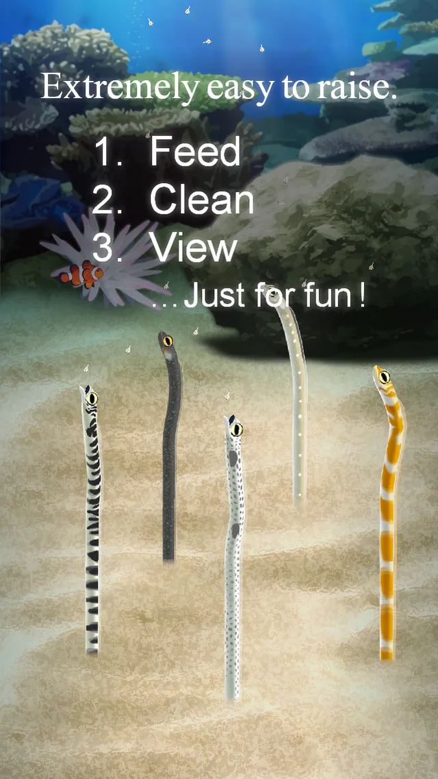 Garden Eel Pet | Indus Appstore | Screenshot