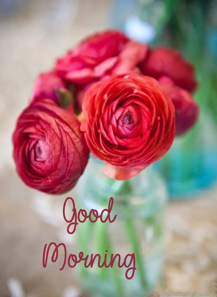 GoodMorning Images GIF 2023 | Indus Appstore | Screenshot