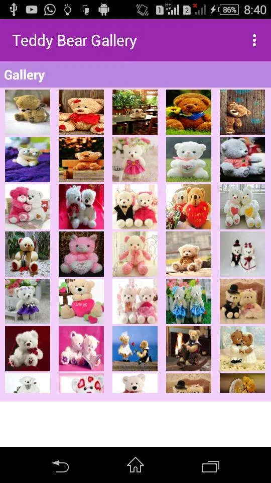 Teddy Bear Gallery | Indus Appstore | Screenshot