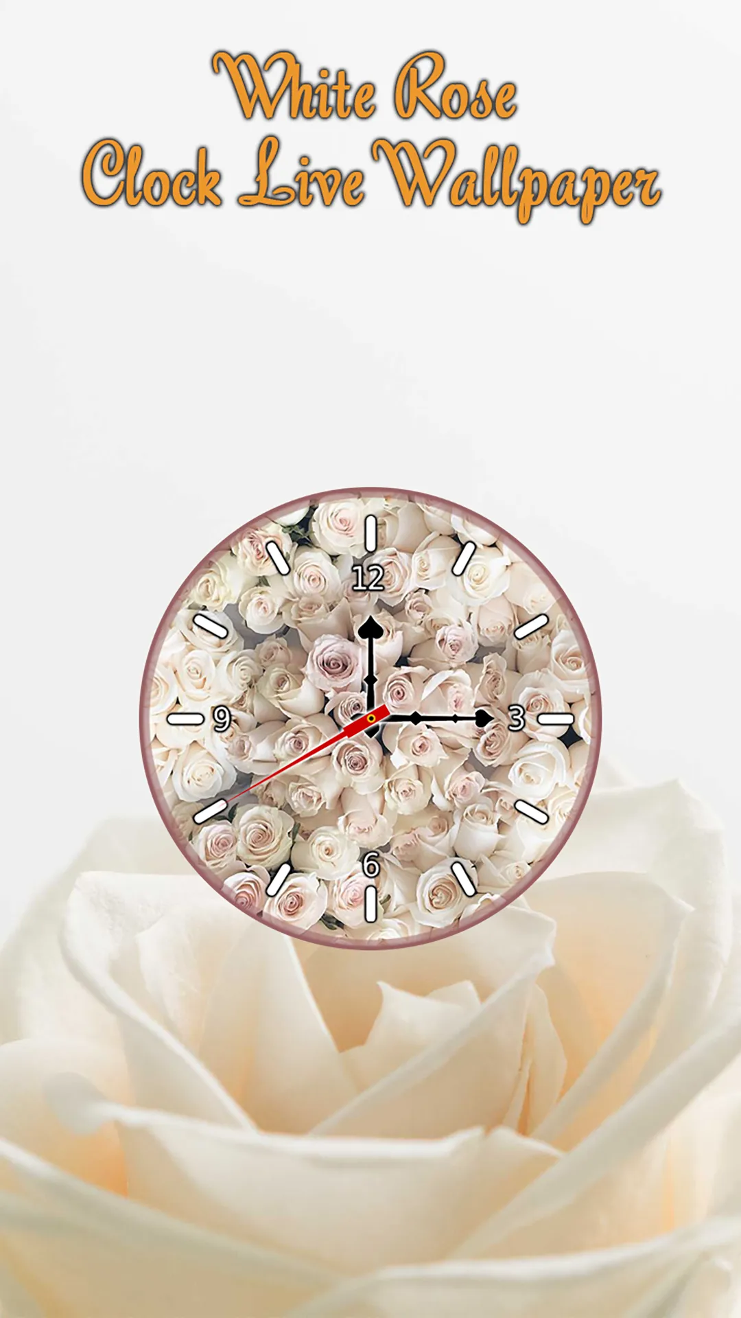 White Rose Clock Wallpaper | Indus Appstore | Screenshot