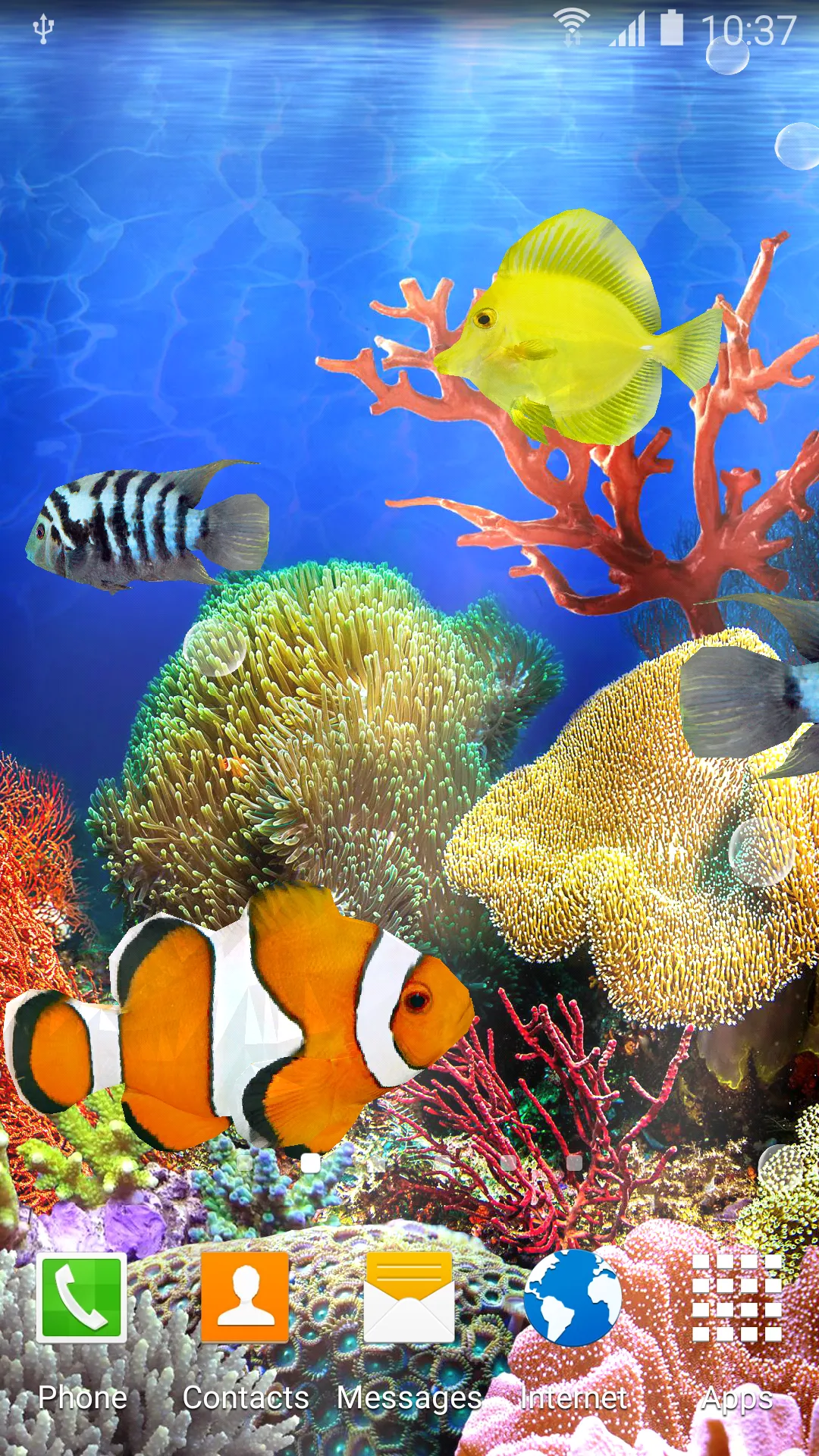 Coral Fish Live Wallpaper | Indus Appstore | Screenshot