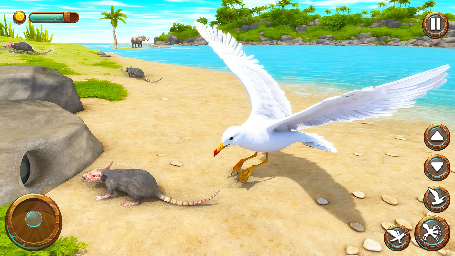 Seagull Bird Life Simulator | Indus Appstore | Screenshot
