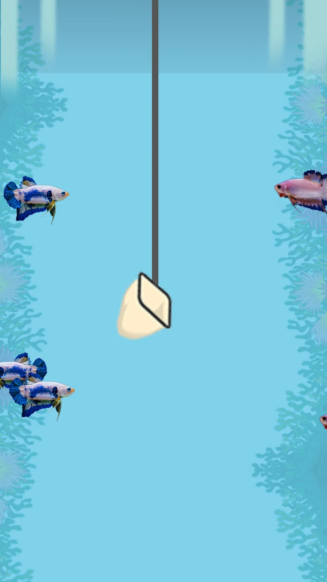 Catch the Betta | Indus Appstore | Screenshot