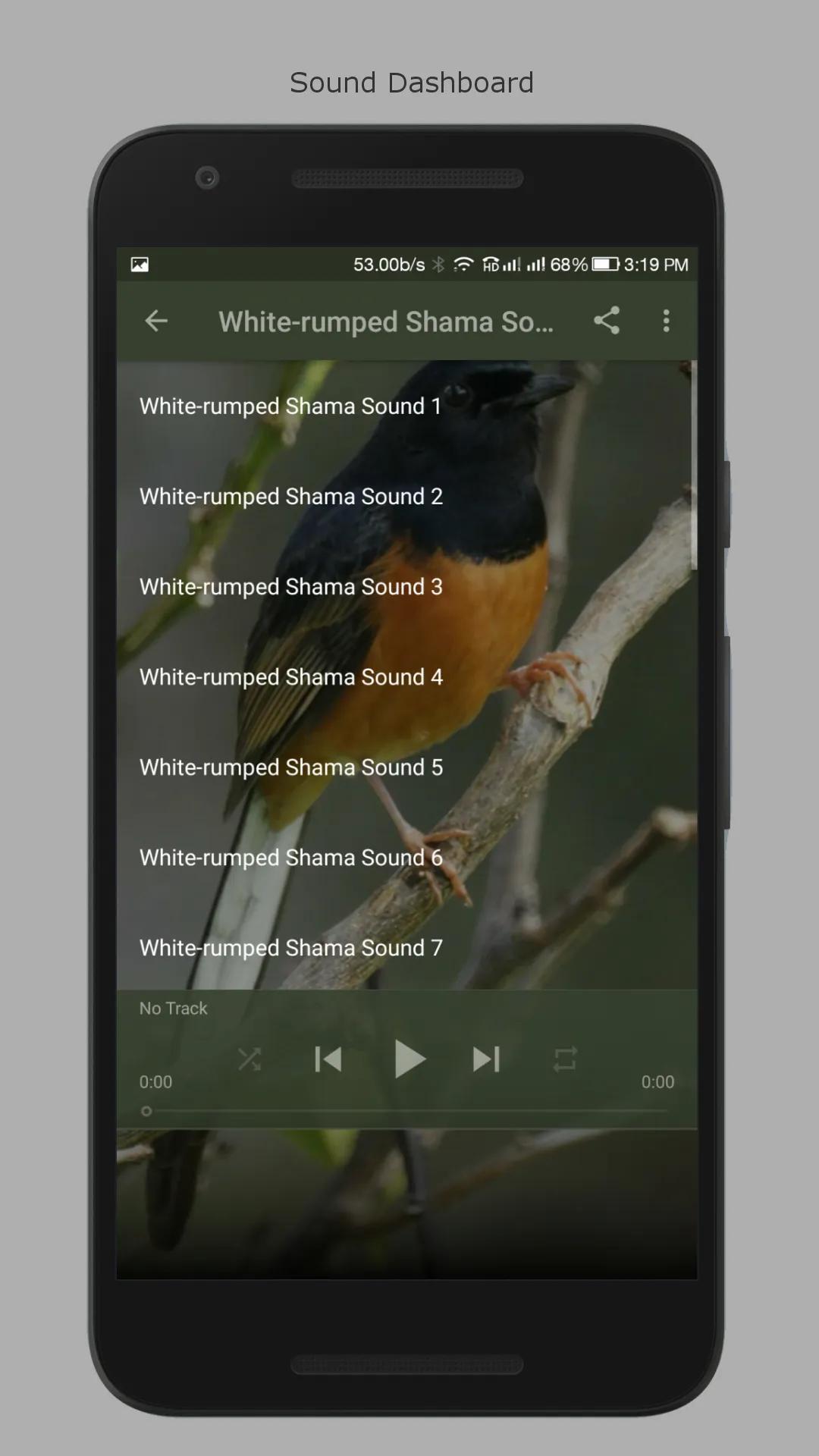 White-rumped Shama Sounds | Indus Appstore | Screenshot