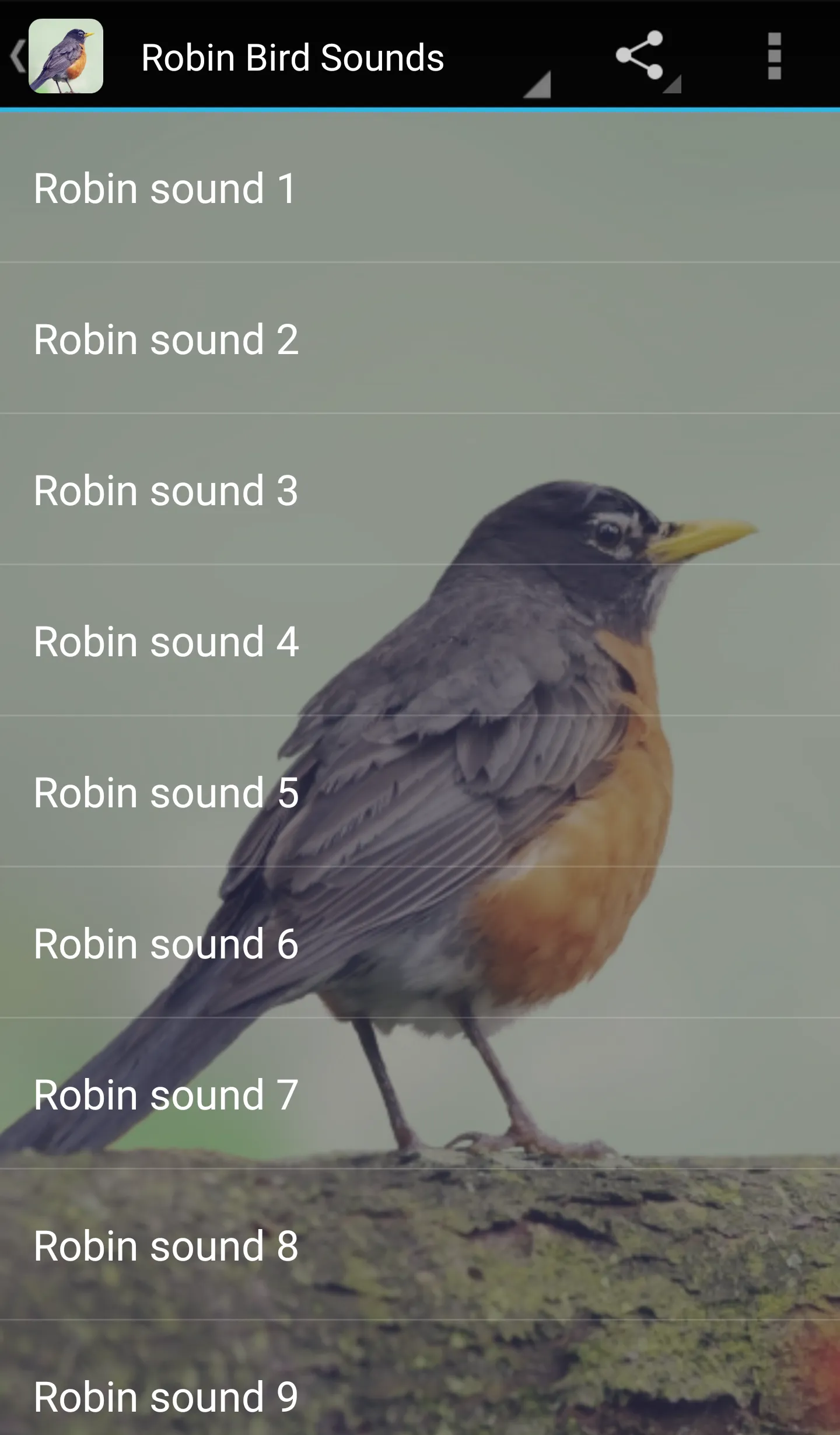 Robin Bird Sounds | Indus Appstore | Screenshot