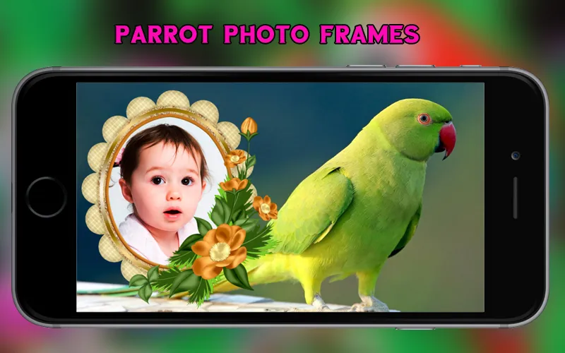 Parrot Photo Frames | Indus Appstore | Screenshot