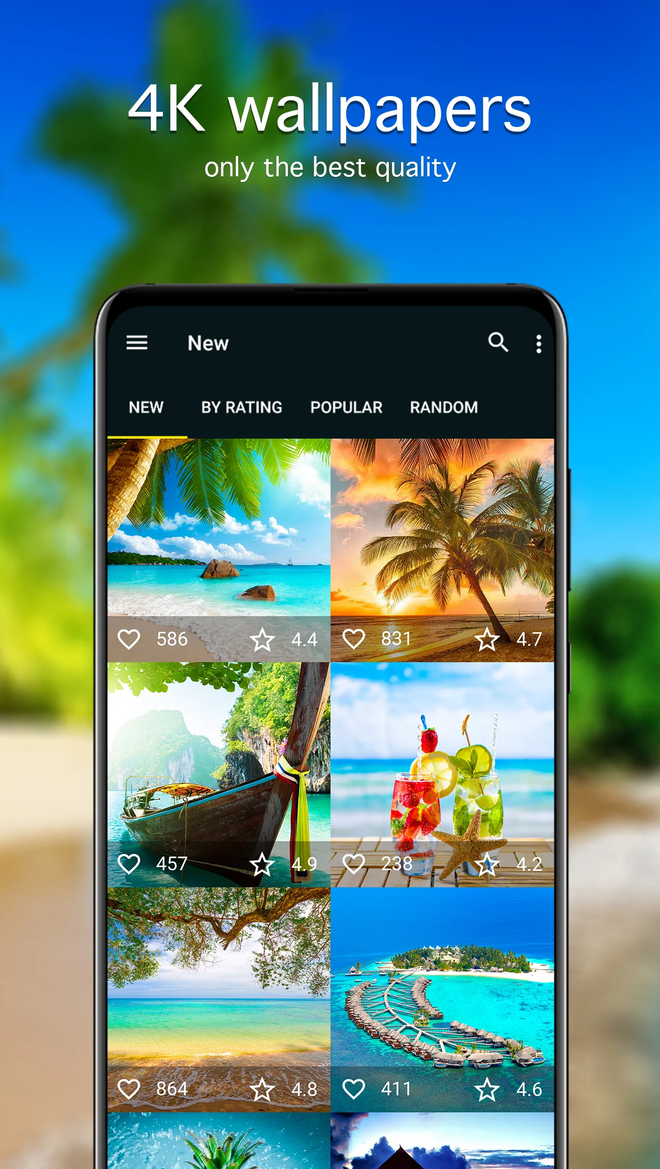 Summer Wallpapers 4K | Indus Appstore | Screenshot