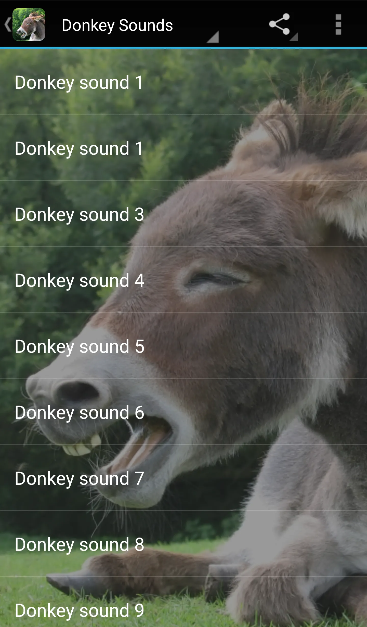 Donkey Sounds | Indus Appstore | Screenshot