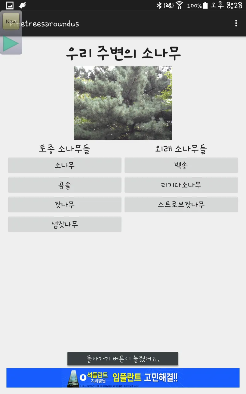 우리 주변의 소나무 | Indus Appstore | Screenshot