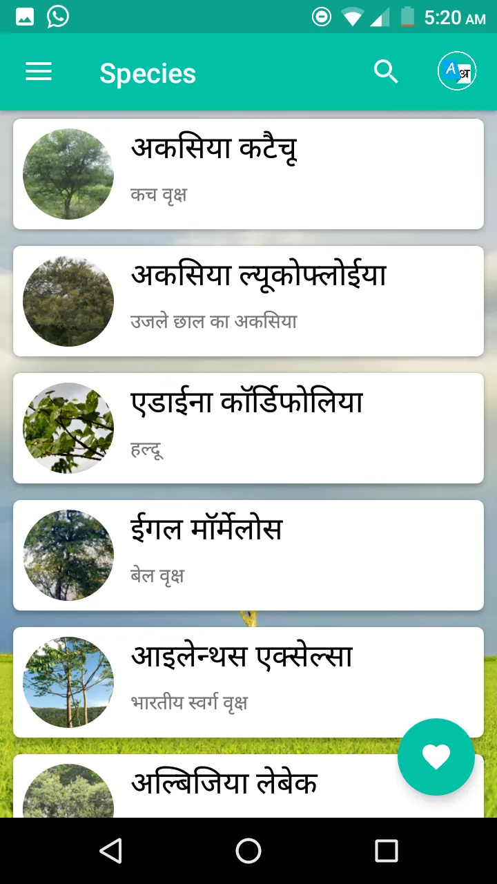 Forest Trees | Indus Appstore | Screenshot