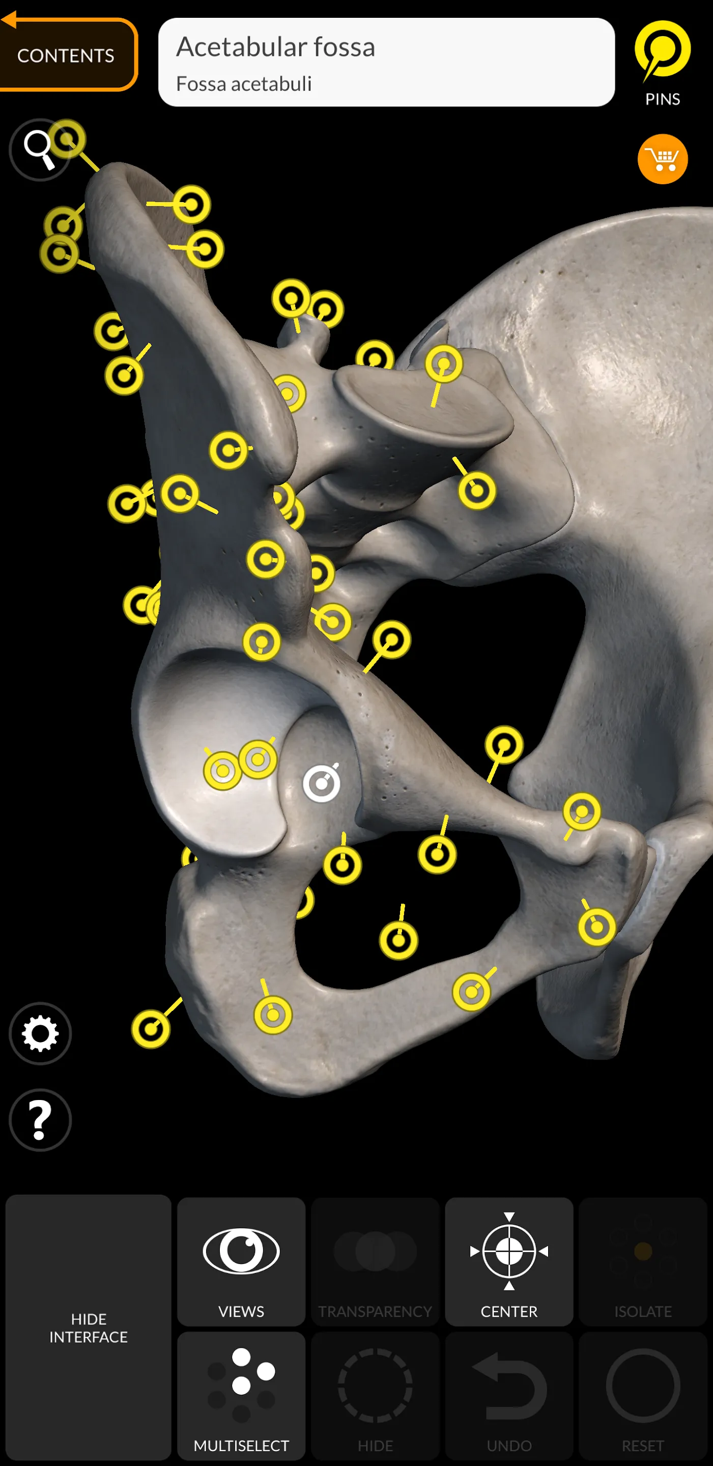 Skeleton | 3D Anatomy | Indus Appstore | Screenshot