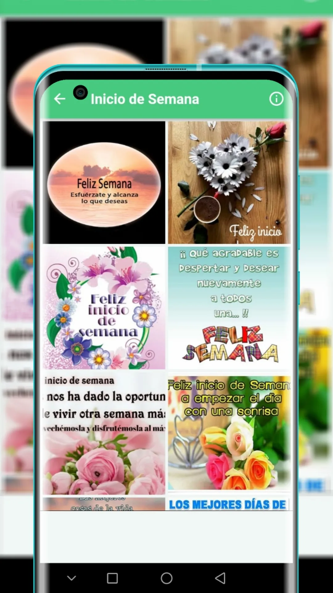 Frases Días de la Semana | Indus Appstore | Screenshot