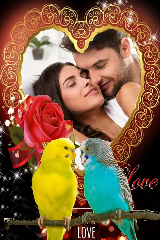 Parrot photo frame | Indus Appstore | Screenshot