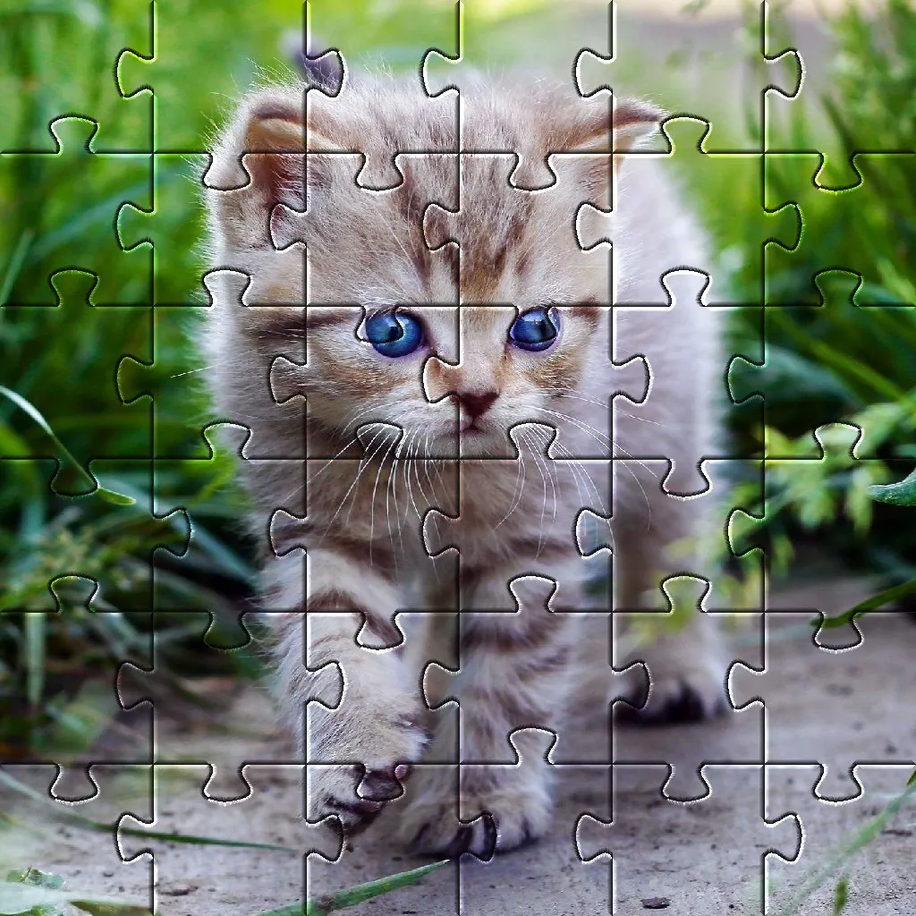 Kittens Cute Cat Jigsaw Puzzle | Indus Appstore | Screenshot