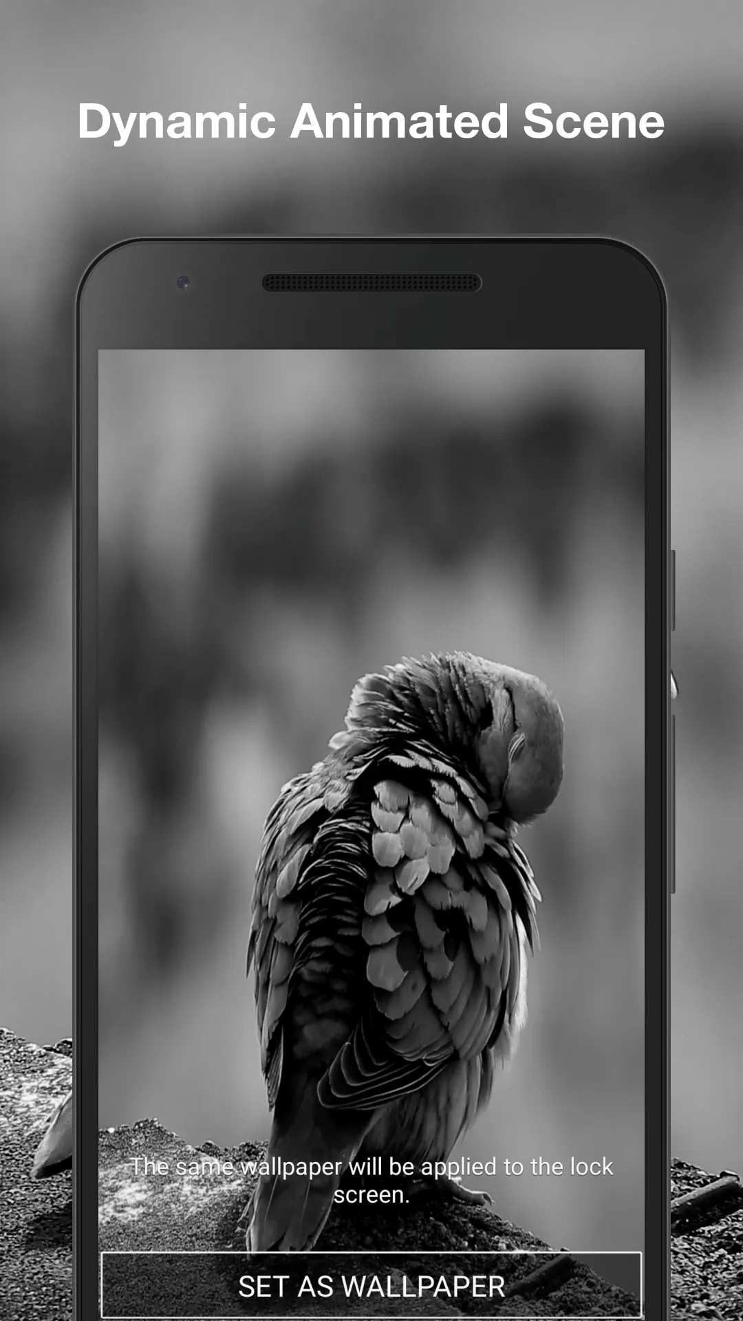 Real Bird Live Wallpaper | Indus Appstore | Screenshot