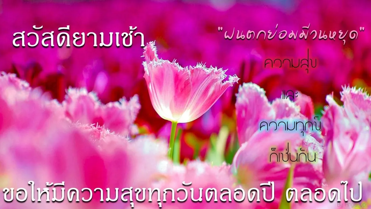 สวัสดีอรุณสวัสดิ์ | Indus Appstore | Screenshot