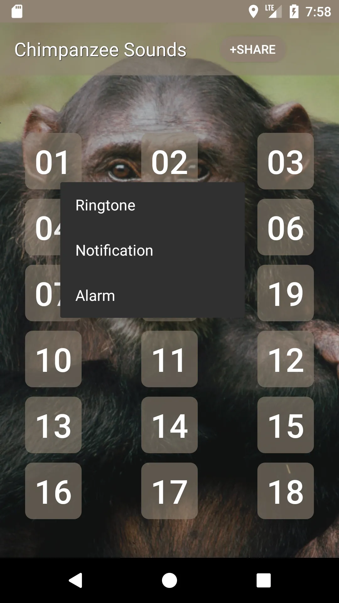 Chimpanzee Sounds | Indus Appstore | Screenshot