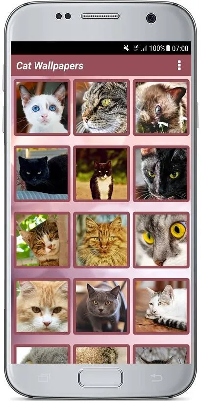 CUTE CAT WALLPAPERS | Indus Appstore | Screenshot