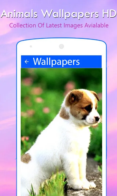 Animal wallpapers | Indus Appstore | Screenshot