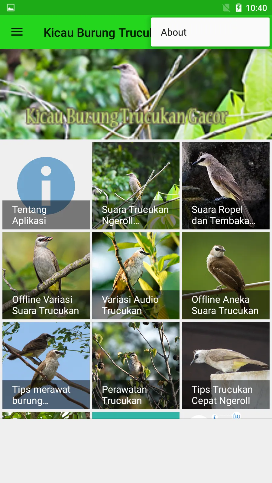 Kicau Burung Trucukan Gacor | Indus Appstore | Screenshot