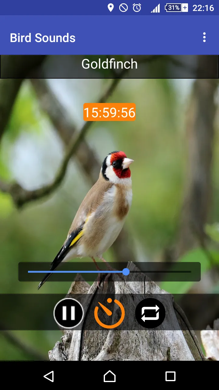 Relax & Sleep with Bird Sounds | Indus Appstore | Screenshot