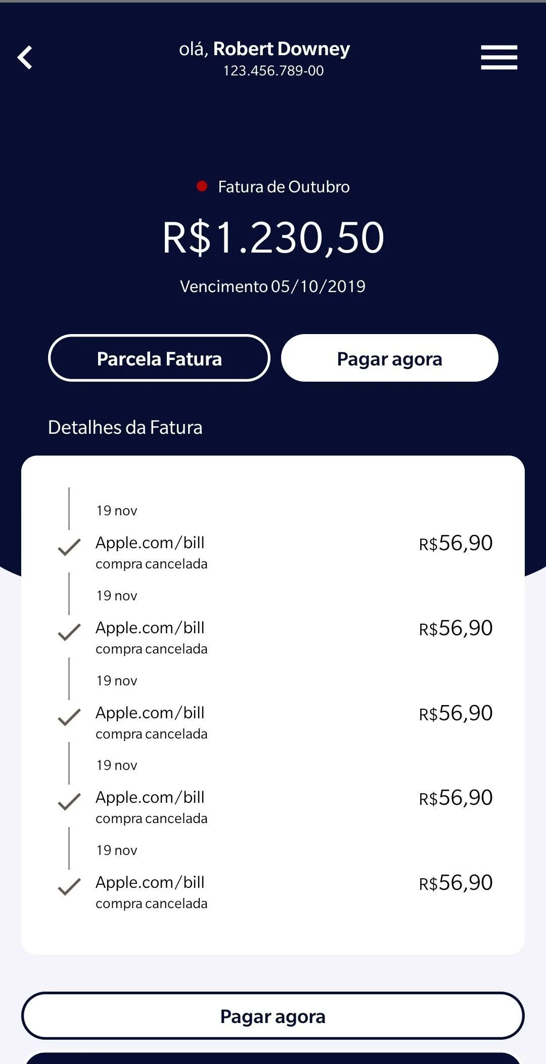 Cartão BIB | Indus Appstore | Screenshot