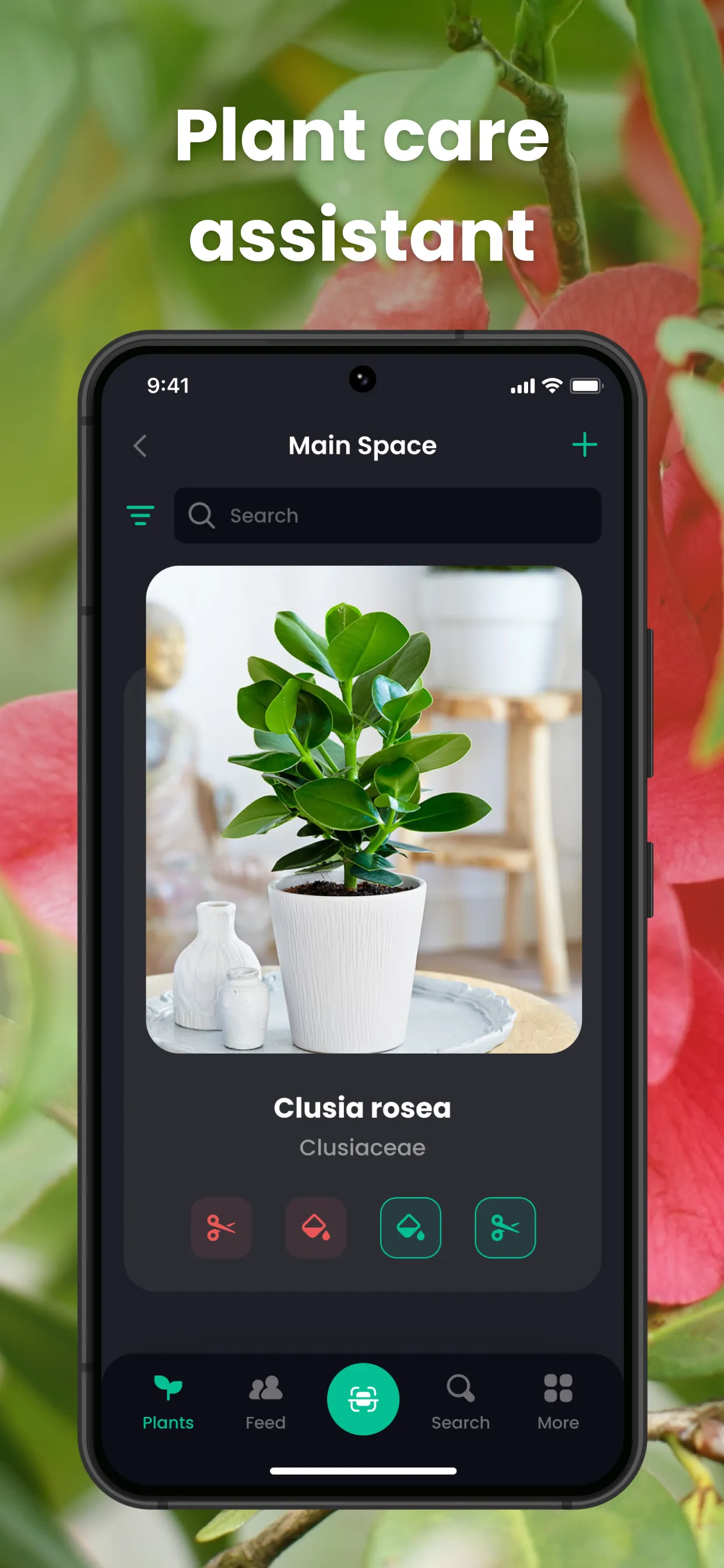 PlantIn Plant Identifier, Care | Indus Appstore | Screenshot