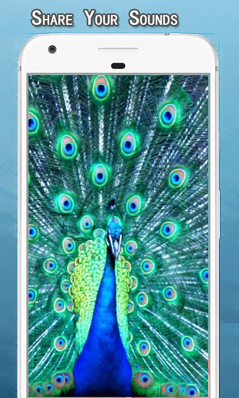 Peacock Sounds Ringtone | Indus Appstore | Screenshot