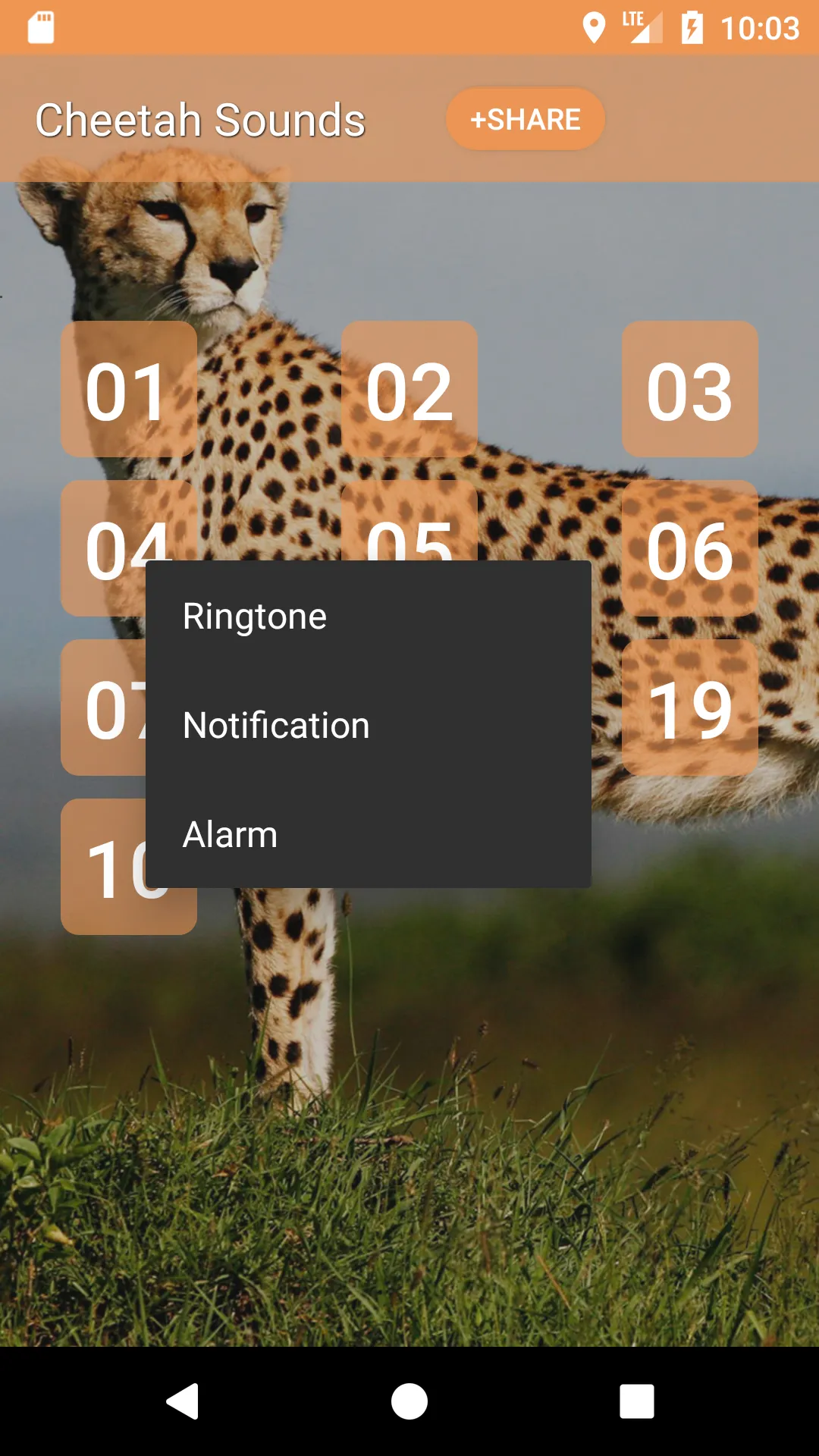 Cheetah Sounds | Indus Appstore | Screenshot