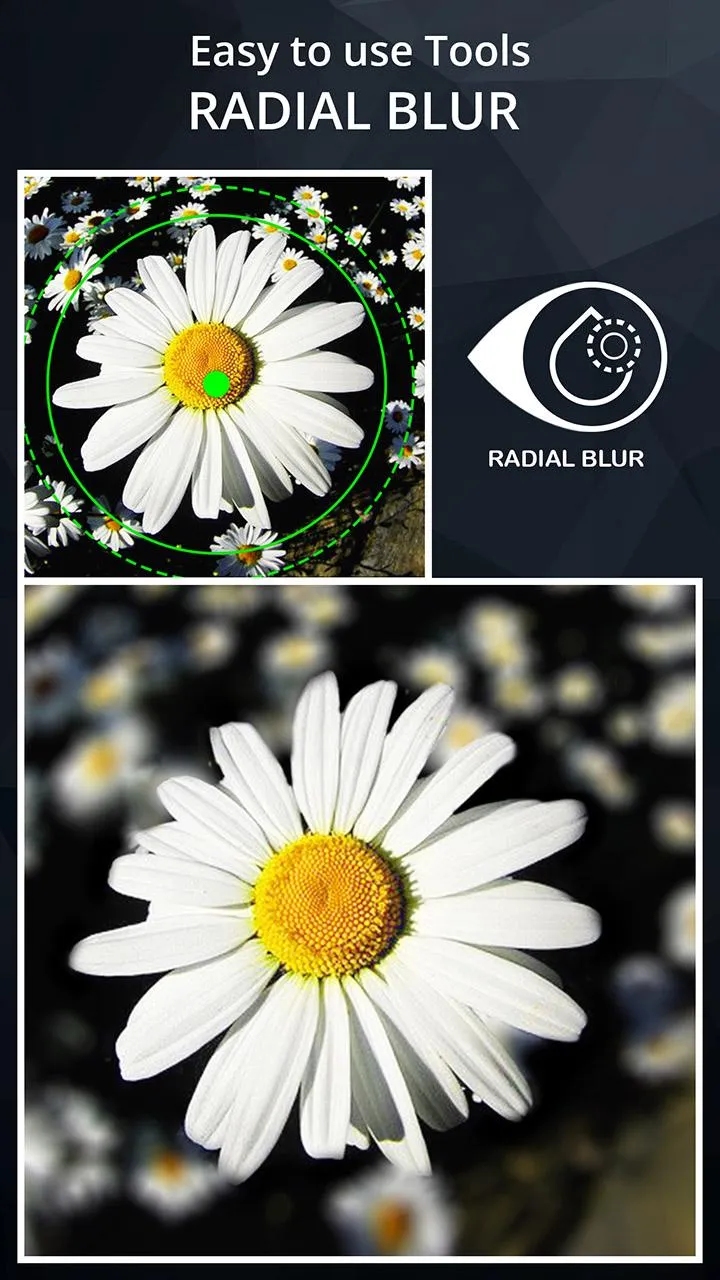 DSLR Camera Blur Effects | Indus Appstore | Screenshot